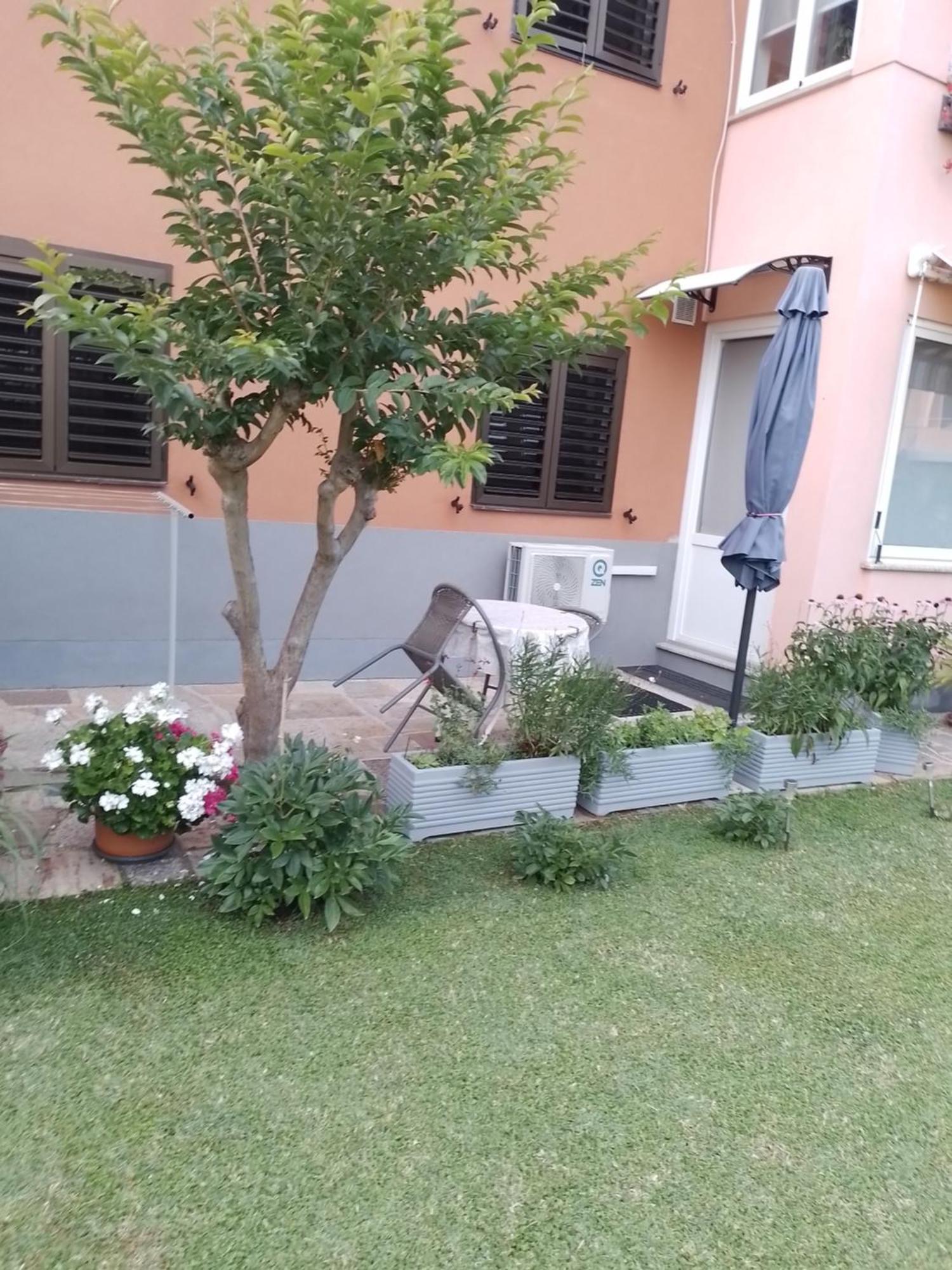 אומאג Apartman Olga מראה חיצוני תמונה
