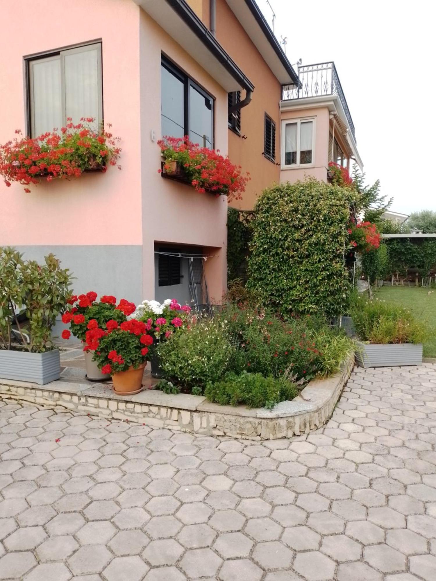 אומאג Apartman Olga מראה חיצוני תמונה
