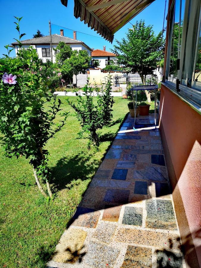 אומאג Apartman Olga מראה חיצוני תמונה